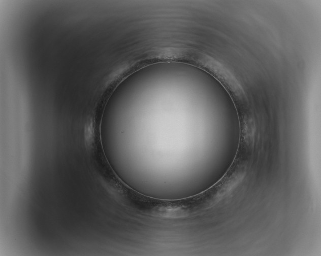 X0000102260208200807251336