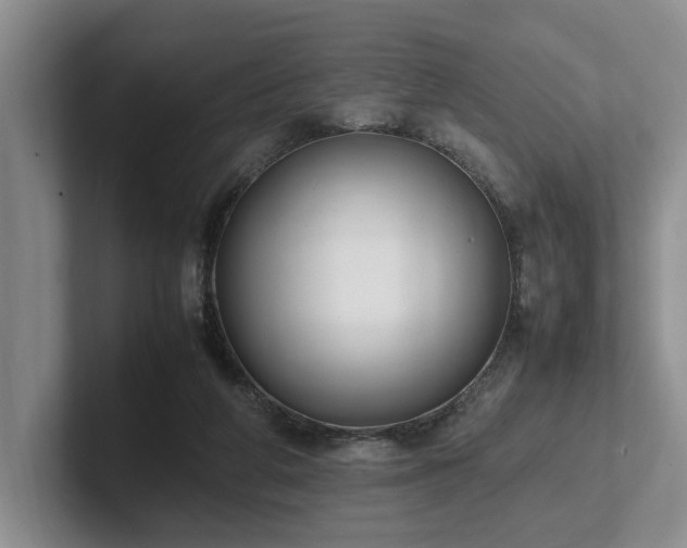 X0000102260210200807251336