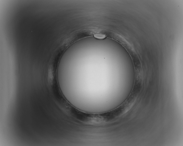 X0000102260215200807251336