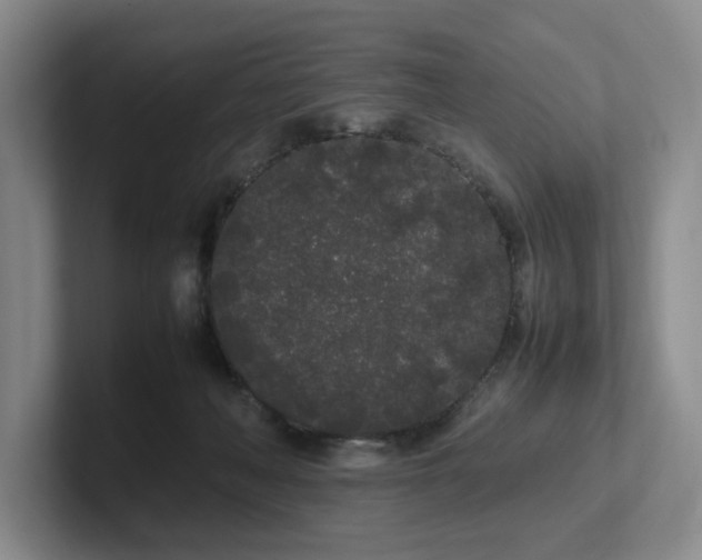 X0000102260222200807251336