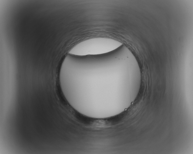 X0000102260227200807251336