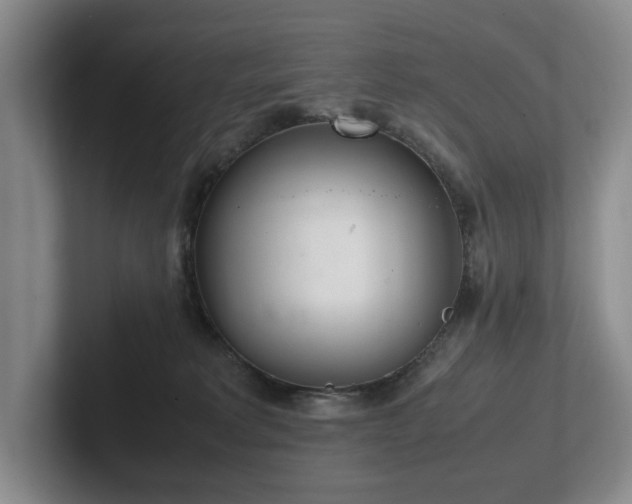 X0000102260229200807251336