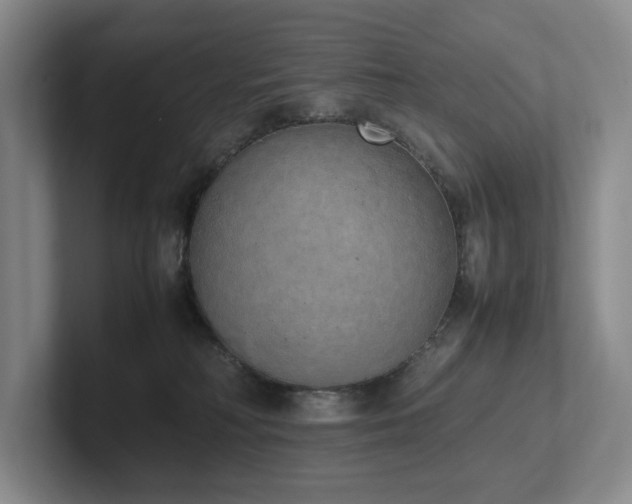 X0000102260230200807251336