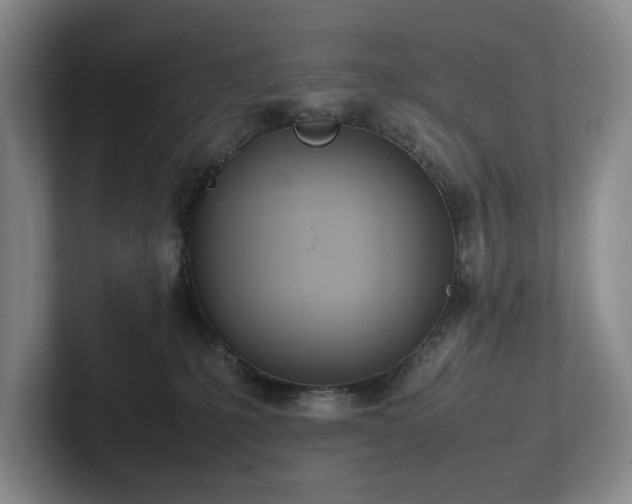 X0000102260231200807251336