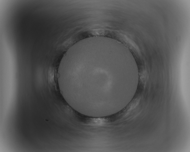 X0000102260233200807251336