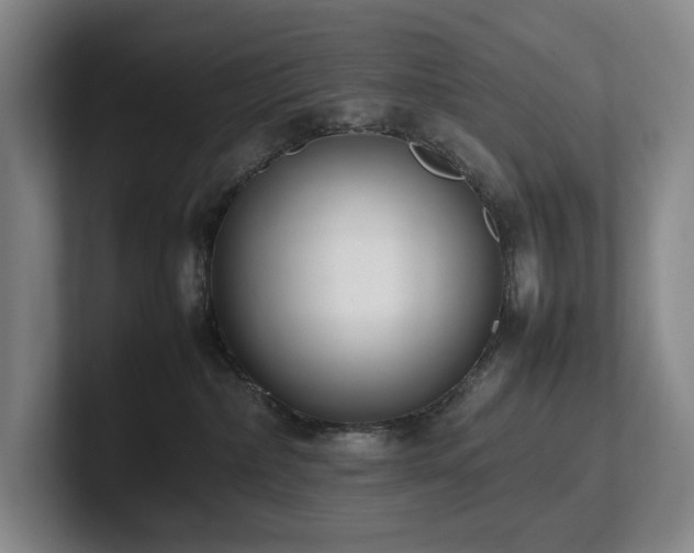 X0000102260236200807251335