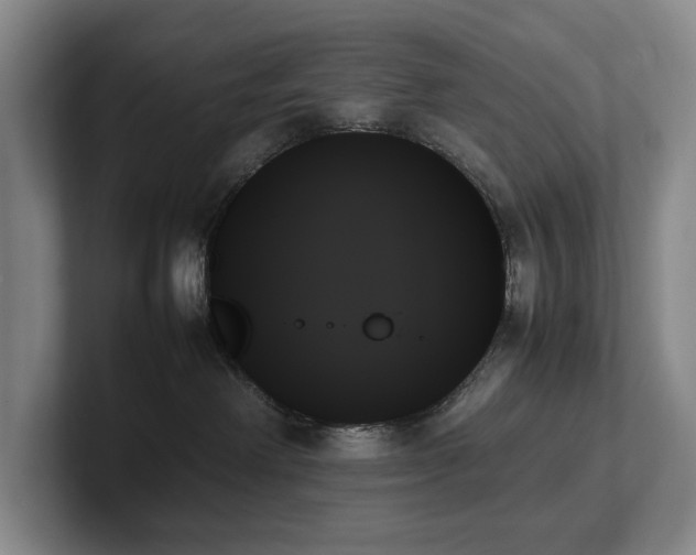 X0000102260238200807251335