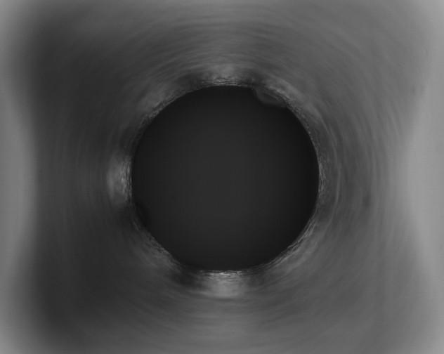 X0000102260240200807251335