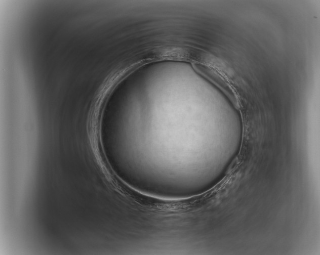 X0000102260241200807251335