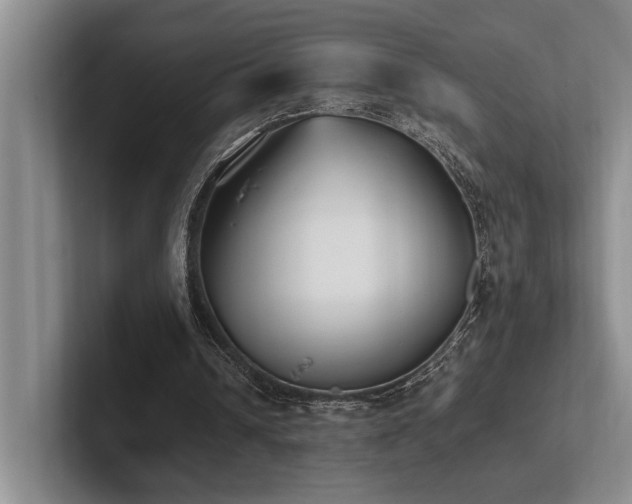 X0000102260242200807251335