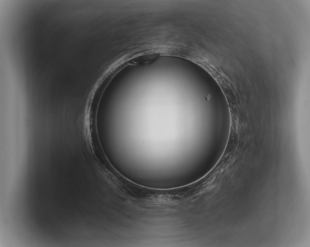 X0000102260244200807251335