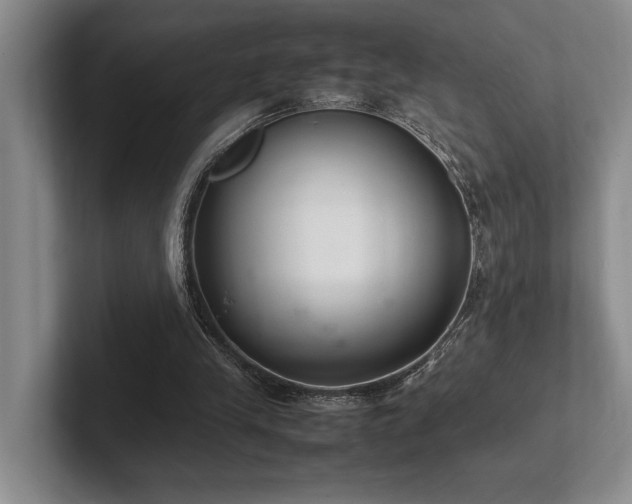 X0000102260245200807251335