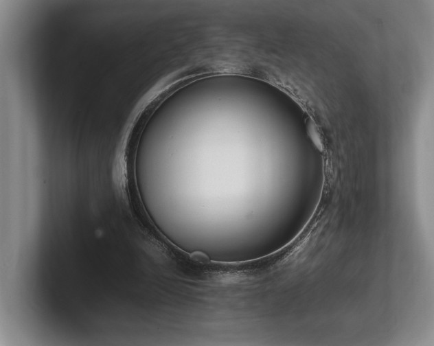 X0000102260246200807251335