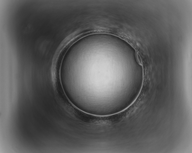 X0000102260247200807251335