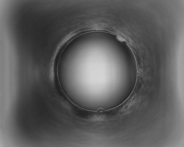 X0000102260248200807251335