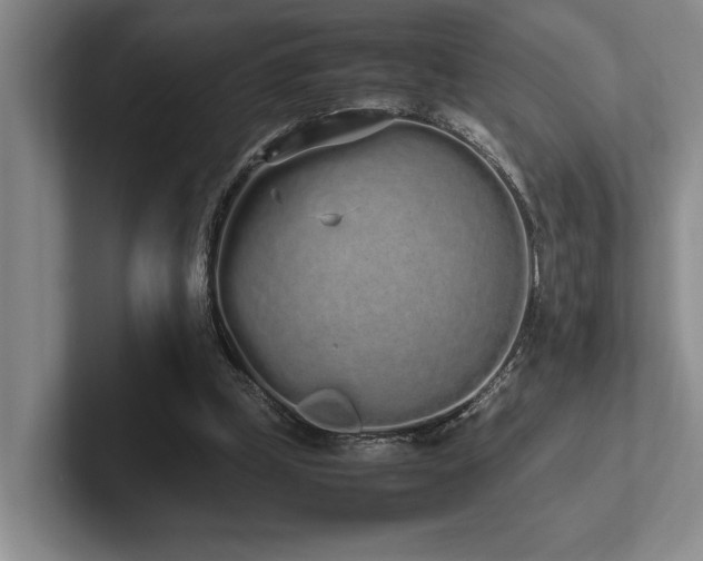 X0000102260249200807251335