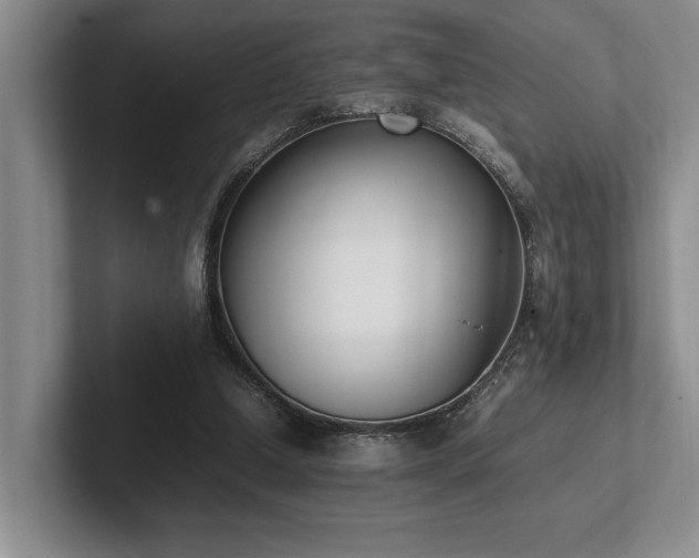 X0000102260250200807251335