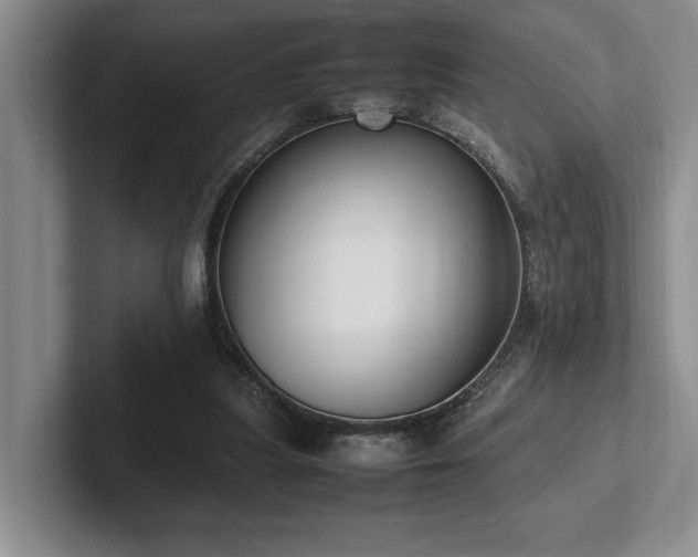 X0000102260251200807251335