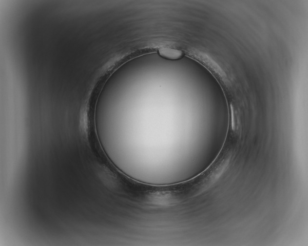 X0000102260252200807251335