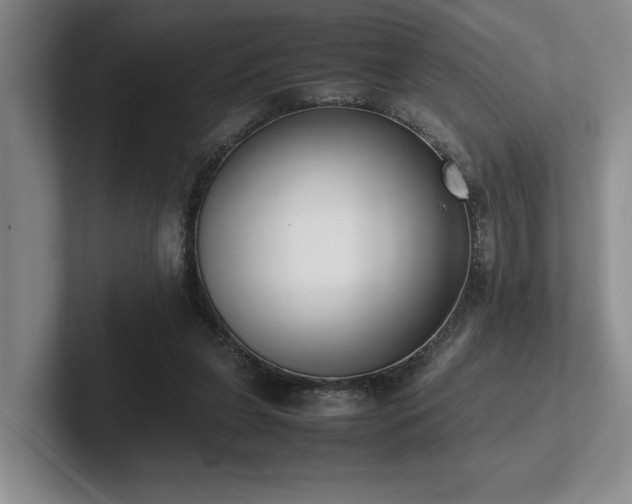 X0000102260255200807251335