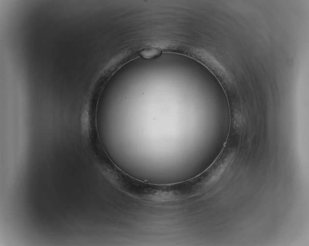 X0000102260256200807251335