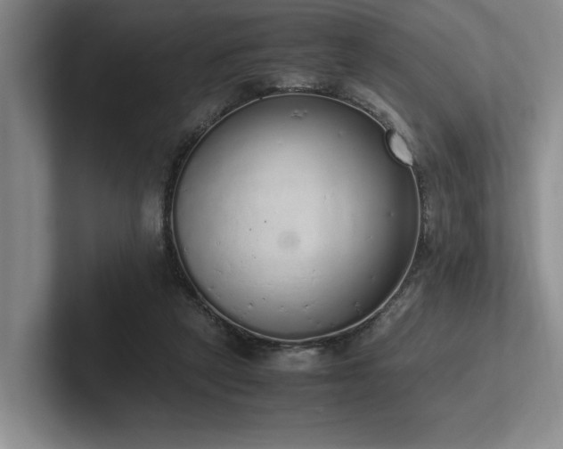 X0000102260257200807251335