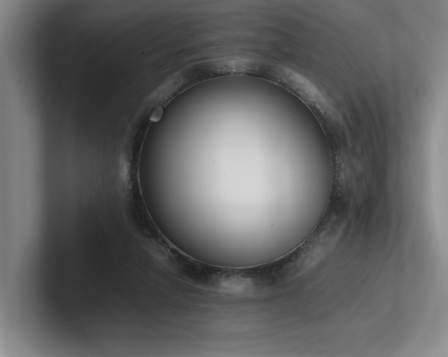 X0000102260258200807251335