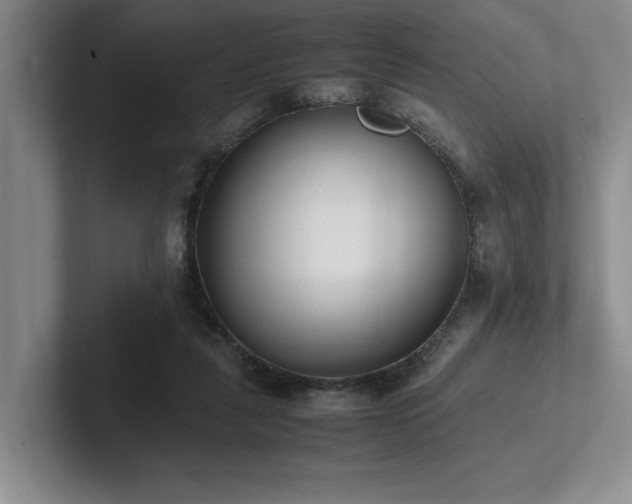 X0000102260259200807251335