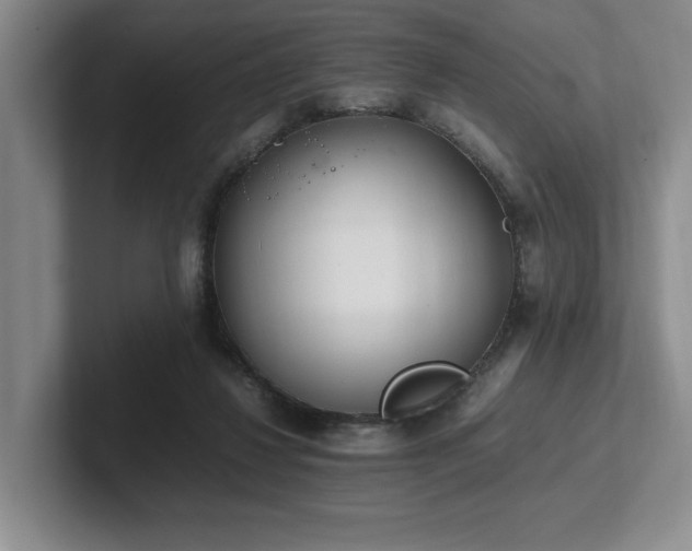 X0000102260260200807251335