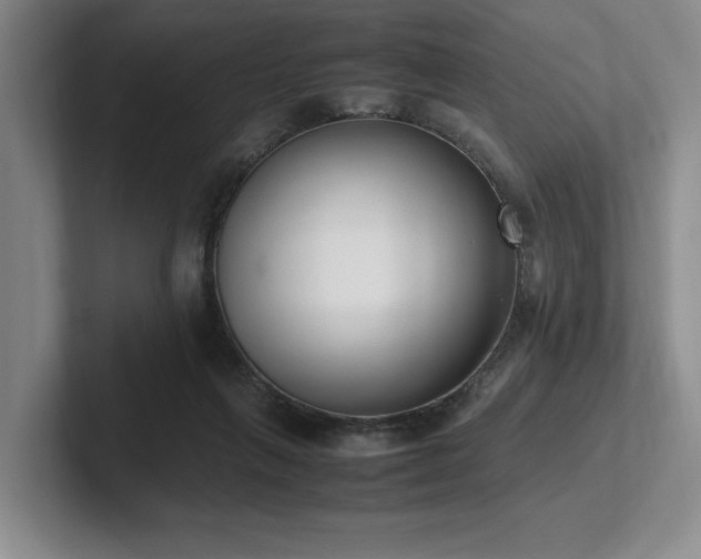 X0000102260263200807251335