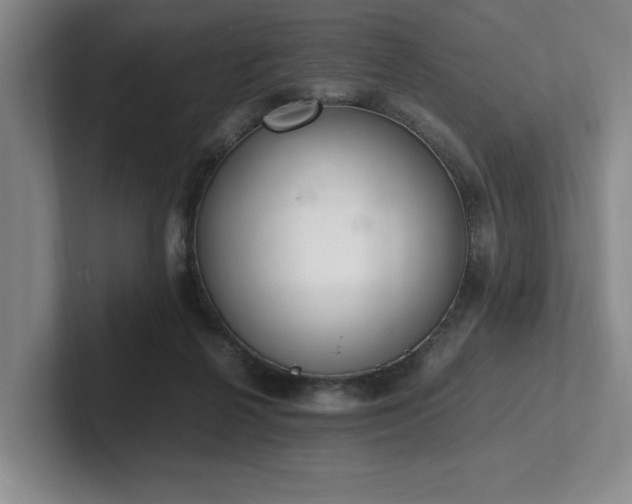 X0000102260264200807251335