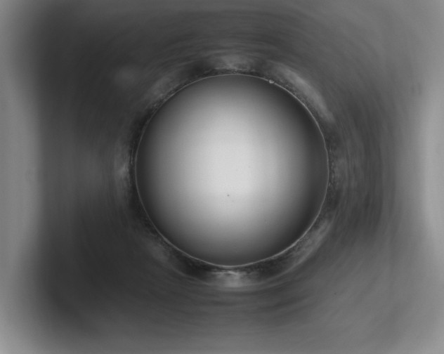 X0000102260265200807251335