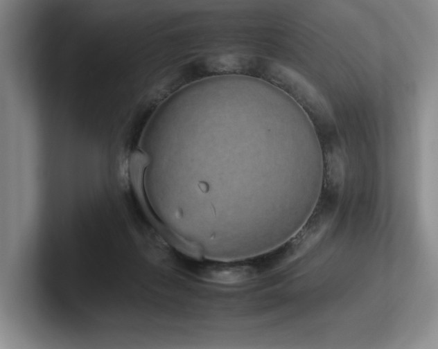 X0000102260267200807251335