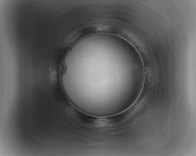 X0000102260269200807251335