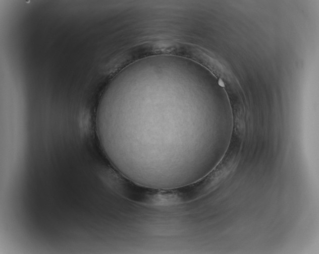 X0000102260270200807251335