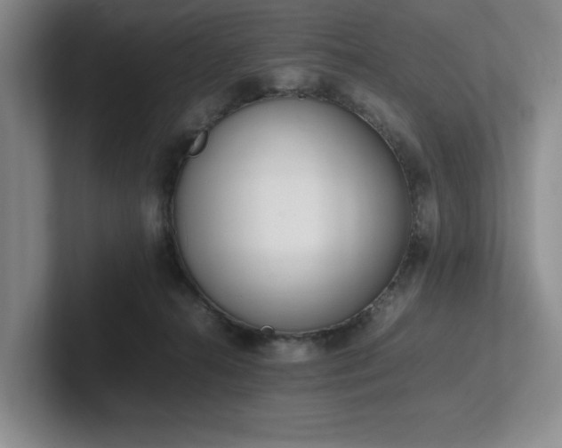 X0000102260272200807251335