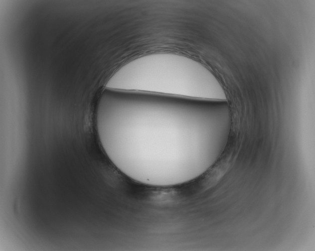 X0000102260274200807251335