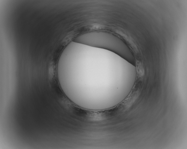 X0000102260276200807251335