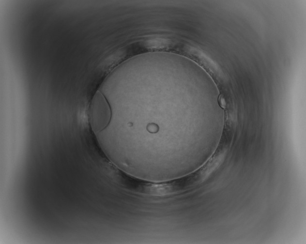 X0000102260277200807251335