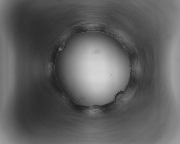 X0000102260278200807251335