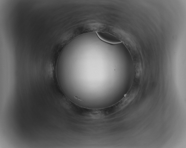 X0000102260279200807251335