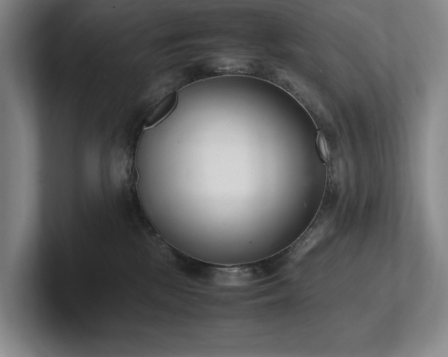 X0000102260281200807251335