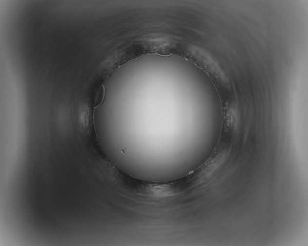 X0000102260283200807251335