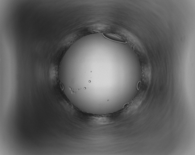 X0000102260284200807251335