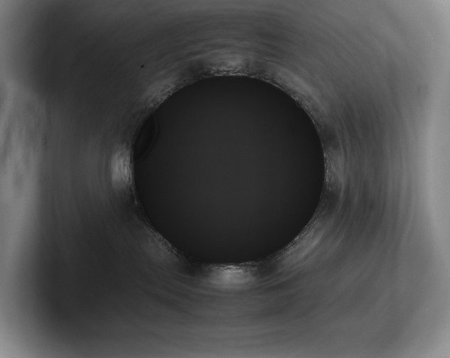 X0000102260287200807251335