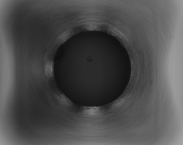 X0000102260288200807251335