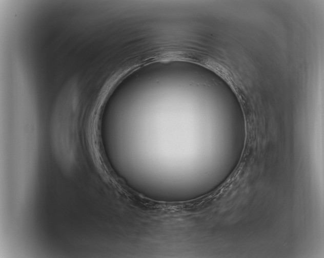 X0000102260289200807251335