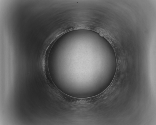 X0000102260290200807251335