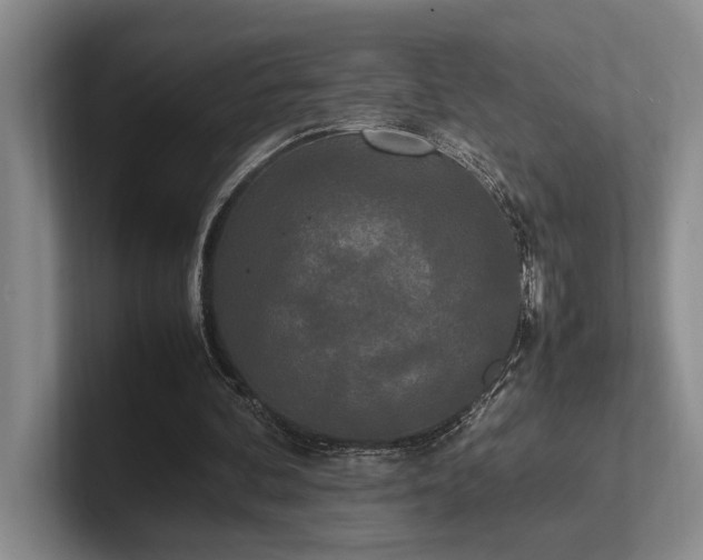 X0000102260292200807251335