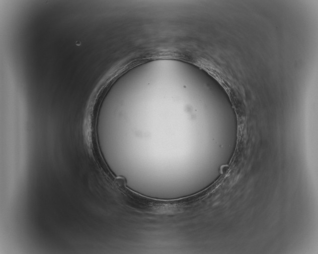 X0000102260293200807251335